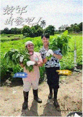 观众留言数据可视化